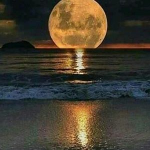 Meet your Posher, Fran